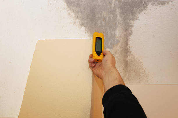Asbestos and Lead Testing During Mold Inspection in Black Canyon City, AZ